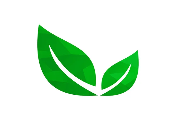 Poly Bas Feuille Usine Logo Feuilles Vertes Symbole Nature Modèle — Image vectorielle