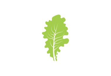 Taze Yeşil Marul logosu tasarımı, yeşil salata, vektör tasarımı konsepti