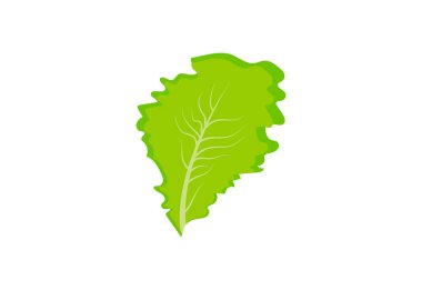 Taze Yeşil Marul logosu tasarımı, yeşil salata, vektör tasarımı konsepti