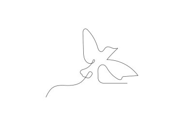 Aralıksız çizgi sanatı Kuş çizimi, Vektör tasarım şablonu