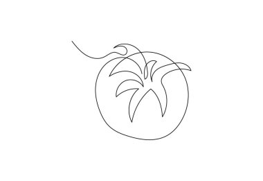 Devamlı sanat eseri taze sebze domates tasarımı. vektör tasarım şablonu