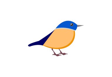 Kuş logosu tasarımı, Vektör tasarımı kavramı