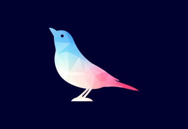 Renkli kuş logosu dizaynlı düşük polen, Vektör tasarım şablonu