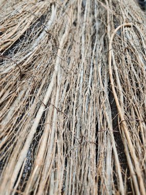 BÜYÜK BİR YELLÜK TONU İÇİN BİR SÜRÜK İÇİN GÖZÜNÜMÜ.