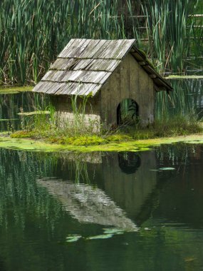 Ördekler, kuğular, göldeki kuşlar için yüzen ev.