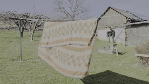 Die Alte Decke Trocknet Und Entwickelt Sich Wind — Stockvideo