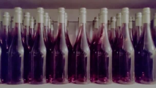 Wein Flaschen Weinkeller — Stockvideo