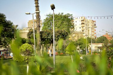 Güneşli bir günde, Kahire 'de çimenli ve ağaçlı yeşil parkın doğal manzarası.