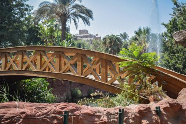 Yeşil parklardan birinde, küçük bir gölün ortasındaki tahta bir köprü manzarası.