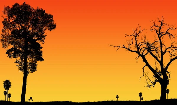Tree with a sunset on the background of the trees flat illustration. beautiful landscape