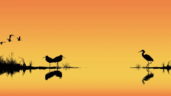 Wetland Waterscape Płaska Ilustracja Pokrycie Lub Tło Ptakami Sylwetka Pomarańczowy — Zdjęcie stockowe