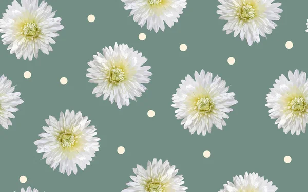 Fehér Ökör Szem Százszorszép Virág Zökkenőmentes Minta Fehér Pontok Minimalista — Stock Fotó