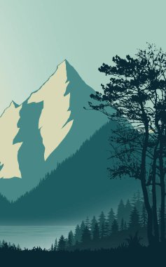 Dağ portresi, orman ormanı manzarası, manzaralı arka plan, portre, duvar resimleri, duvar kağıtları, orman ağaçları, sisli doğa manzarası.