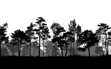 Trees landscape woods background vector illustration background paranomic view wallpaper clipart