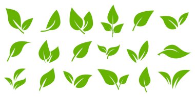 Yeşil yaprak vektör simgesi organik eko doğal bitki yaprağı saf işaret sembolü Pictogram ağacı çizimi yapar
