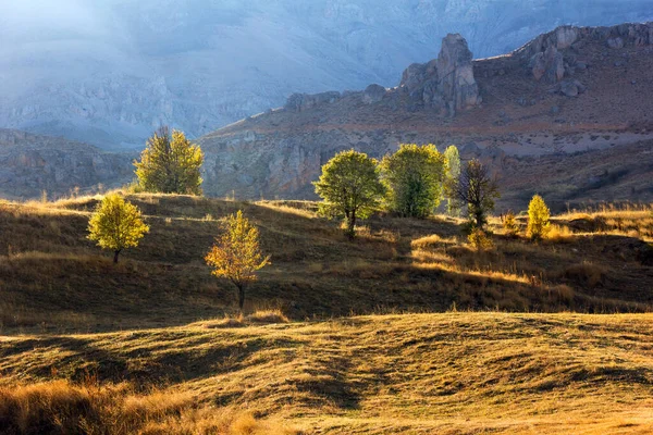 Indah Warna Warni Panorama Musim Gugur Dengan Cahaya Emas Dan — Stok Foto