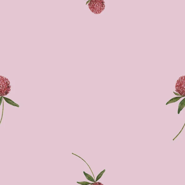 Bezszwowy Akwarelowy Wzór Kwiat Koniczyny Minimalistyczny Wzór Różowym Tle Dla — Zdjęcie stockowe