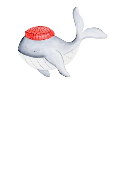 レッドキャップのかわいいクジラの水彩キャラクター あなたのビジネスのためのかわいいキャラクター インテリアステッカーステッカーステッカー — ストック写真