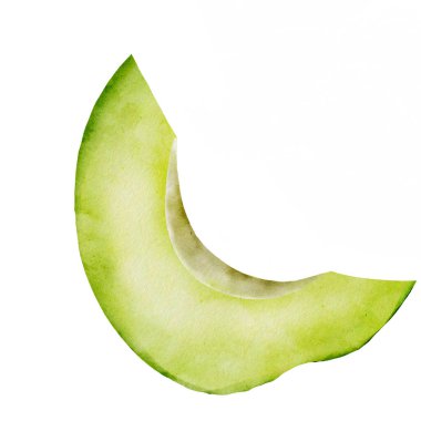 Avokado dilimi suluboya gerçekçi bir şekilde olgun meyveleri izole edilmiş beyaz arka planda çiziyor. Sağlıklı gıda kafe için egzotik yeşil sebzelerin bir parçası. Vejetaryen cipsi. Yüksek kaliteli illüstrasyon