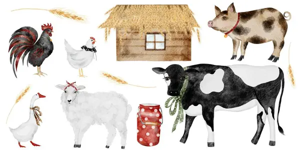 农场动物的水彩画手绘隔离在白色背景上 家畜牛 农场的房子和罐头 孩子们学习卡的理想 图库图片