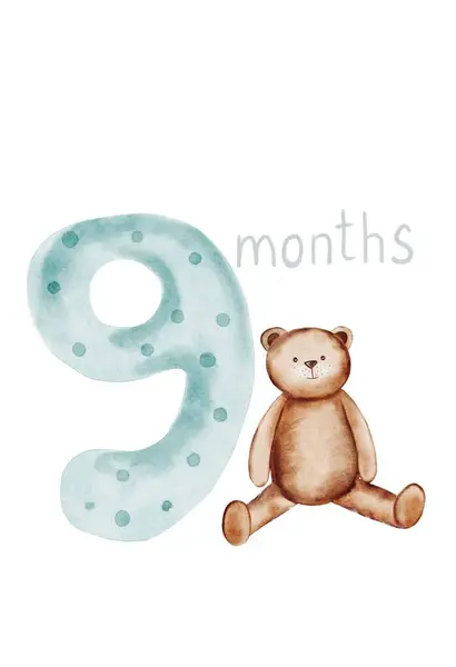 婴儿月卡 可爱的公制手绘生月和泰迪熊 剪贴艺术孤立在白色背景 为新生儿长达一年的Boho风格 儿童月度里程碑 免版税图库照片