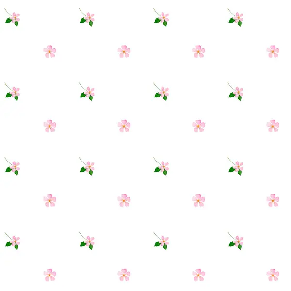 Υδατογραφία Μοτίβο Λουλουδιών Απρόσκοπτη Απεικόνιση Των Ροζ Ανθίσεων Λευκό Φόντο Royalty Free Φωτογραφίες Αρχείου
