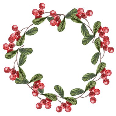 Kırmızı böğürtlen suluboya çerçevesi. Yeşil yapraklı dal ve izole edilmiş beyaz arka plana kotonaster el çizimi. Clip Art Botanik Gerçekçiliği. Bir mağaza için kart, davetiye, etiket tasarımı için