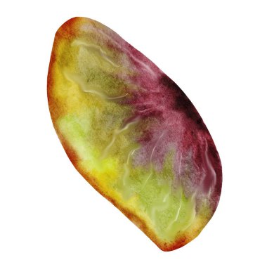 Fıstıklı suluboya. Beyaz arka planda el yapımı fındık. Gerçekçi çerez klipsi sanatı. Logo, ürün ambalajı ve afiş için ideal. Yüksek kalite fotoğraf