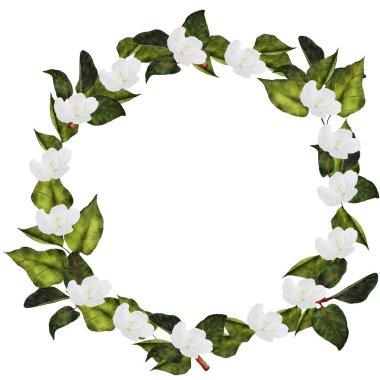 Çiçekli suluboya çelenk. Yeşil yapraklı yuvarlak çerçeve ve izole beyaz arka planda beyaz çiçekler. Düğün kartları ve doğum günleri için davetiyeler ve yıldönümleri için ideal. Yüksek kalite