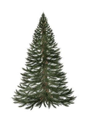 Noel ağacı suluboya. Beyaz arka planda izole edilmiş el yapımı her zaman yeşil ağaç. Noel ve Yeni Yıl Clip Sanatı sembolü. Tebrik kartları, posterler ve el sanatları tasarımı için ideal. Yüksek