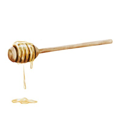 Bal çubuğu suluboya. Elle çizilmiş ballı tahta kaşık. İzole edilmiş beyaz arka planda mutfak aletleri. Logo ve arıcılık ürünleri mağazası tasarımı için ideal. Yüksek kalite