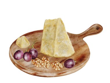 Bir parça peynir suluboya. Tahta bir üzüm ve cevize el yapımı parmesan peyniri. Beyaz arka planda üzümlü İtalyan peyniri. Clip sanatı yemeği. Restoran menüleri ve yemek tarifleri için ideal.