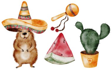 Capybara suluboya. Meksika şapkalı, karpuz ve kaktüslü komik bir çizgi film hayvanı. İzole edilmiş beyaz arka planda şirin su domuzu eli çizimi. Dost canlısı bir kobay sanatı. İdeal