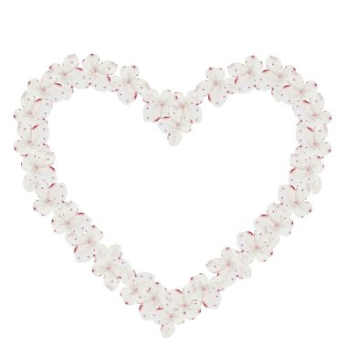 Beyaz ortanca çiçekleri suluboya çerçeve. İzole edilmiş beyaz arka planda, kalp şeklinde narin bir çiçek çizilmiş. Botanik illüstrasyon. Düğün ve doğum günü kartları için ideal. Yüksek kalite