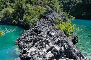 susunan formasi karang di pantai landscape