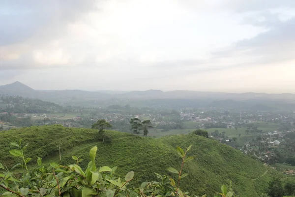 pemandangan kota dan kebun teh dari atas bukit