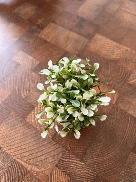 ahşap yüzey üzerinde güzel bahar çiçekleri 