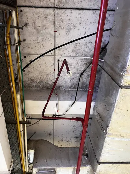 Bir binada yangın söndürme sistemi