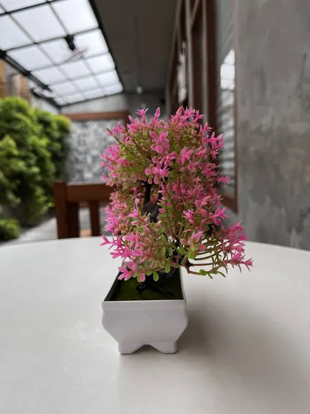 Ornamental Plants in white vase placed on a white table