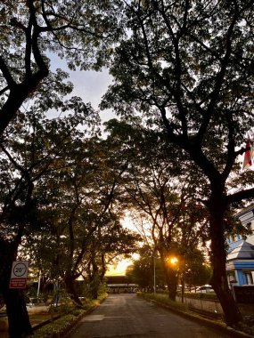 Ağaçlar boyunca boş yol - Makassar, Endonezya