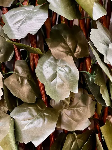 Yapay akçaağaç yaprakları kapatılmış.