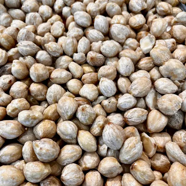 Aleurite moluccanus, aynı zamanda kanser olarak da bilinen mum Asya mutfağında baharat olarak kullanılan bitkilerden biri. 