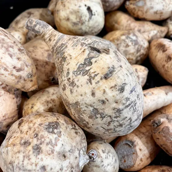 Tatlı patatese yakın.