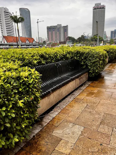 Yağmurdan sonra şehir parkında tahta sandalye.