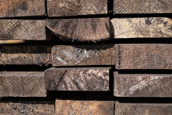 Dřevěné Klády Lese — Stock fotografie