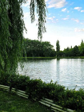 Mükemmel bir bahar manzarası ve nehir kenarındaki sabah çayırı. Duvar kâğıdı. Çevresel konsept. Toprağın güzelliğini keşfedin.