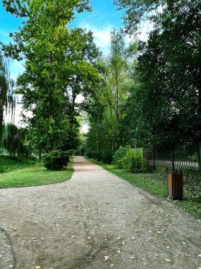 Bir şehir parkında, bir sürü ağacı olan bir yol kıvrımlı..