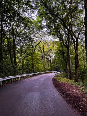 Bir şehir parkında, bir sürü ağacı olan bir yol kıvrımlı..