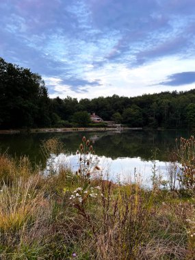 Sabahın köründe Forest Gölü. Gölün önünde kuru bir kamış var.