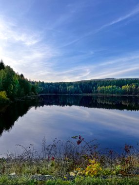 Bereketli yeşil ağaçları yansıtan dingin göl ve kabarık bulutlu parlak mavi gökyüzü..